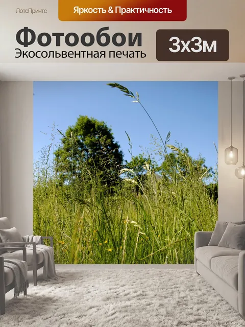 Фотообои Газон