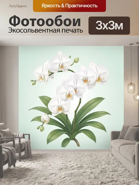 Фотообои Белые орхидеи на пастельном фоне