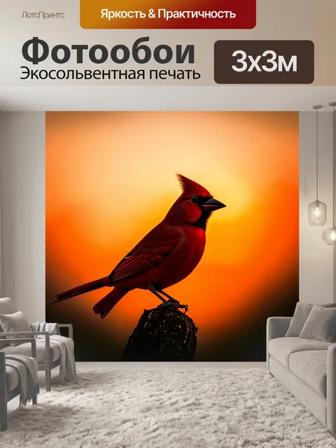 Фотообои красный силуэт птицы на фоне заката, создающего атмосферу мечты