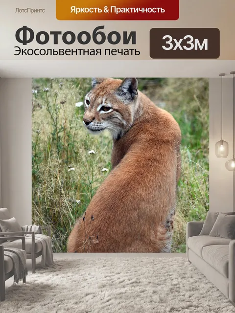 Фотообои Лес