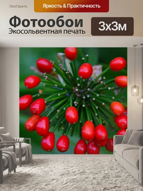 Фотообои Берри