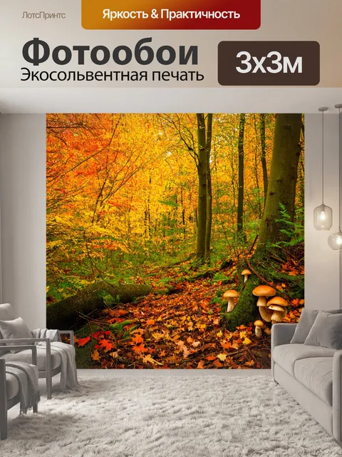 Фотообои осенние деревья с яркой листвой
