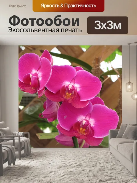 Фотообои Цветочный садик