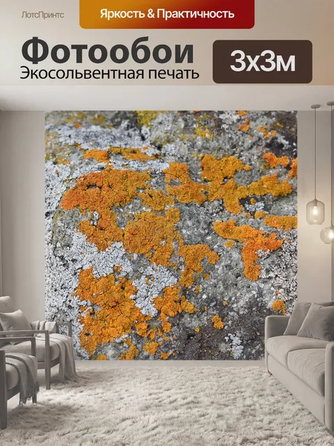 Фотообои Камень
