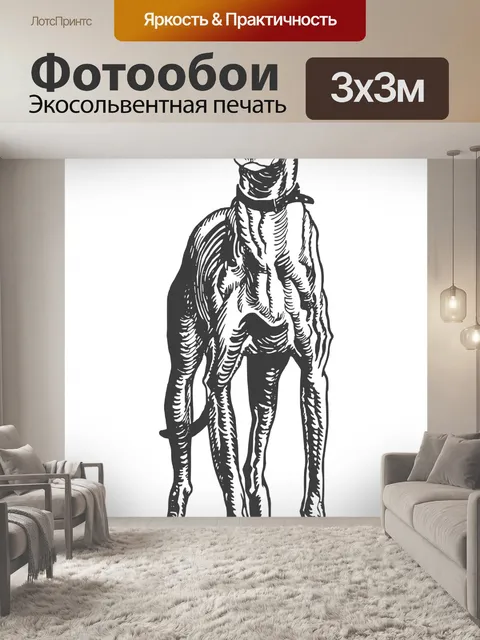 Фотообои Рисунок борзой собаки
