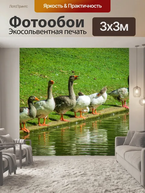 Фотообои Птицы