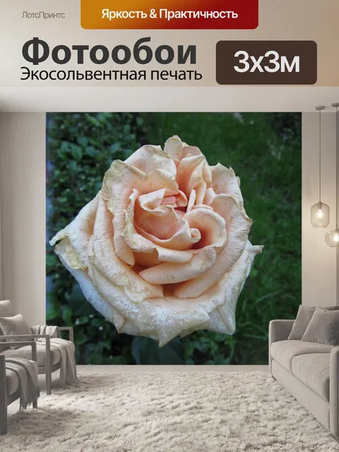 Фотообои Цветов