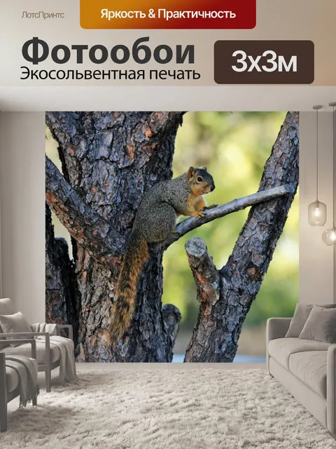 Фотообои Фокс Белка на ветке дерева