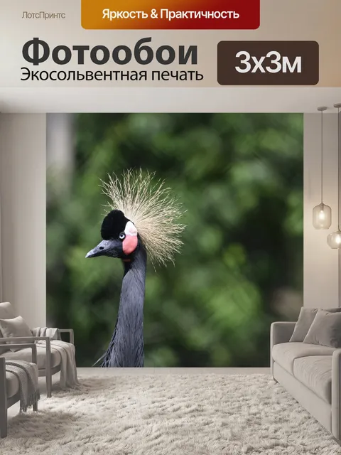 Фотообои Буковые горы