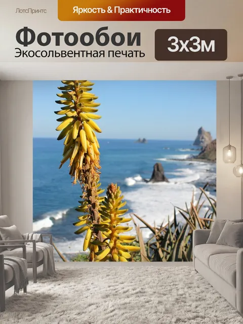 Фотообои Алоэ