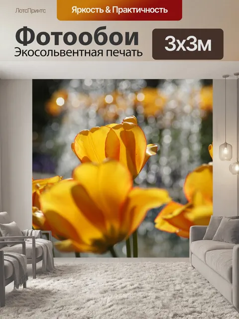 Фотообои Водные игры