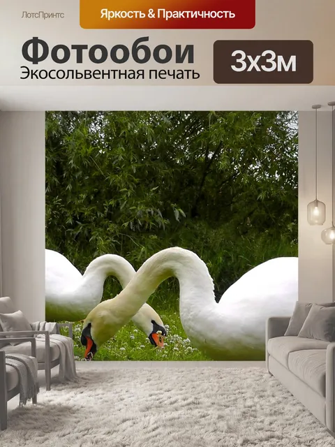 Фотообои Лебеди