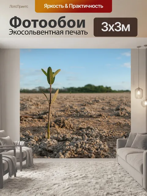 Фотообои Венесуэла