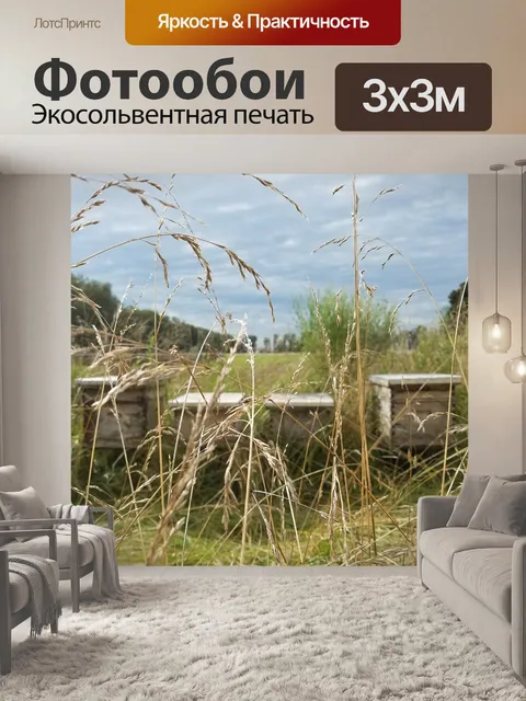 Фотообои Пчеловодство