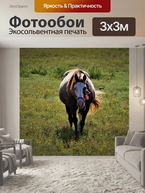 Фотообои Лошадь