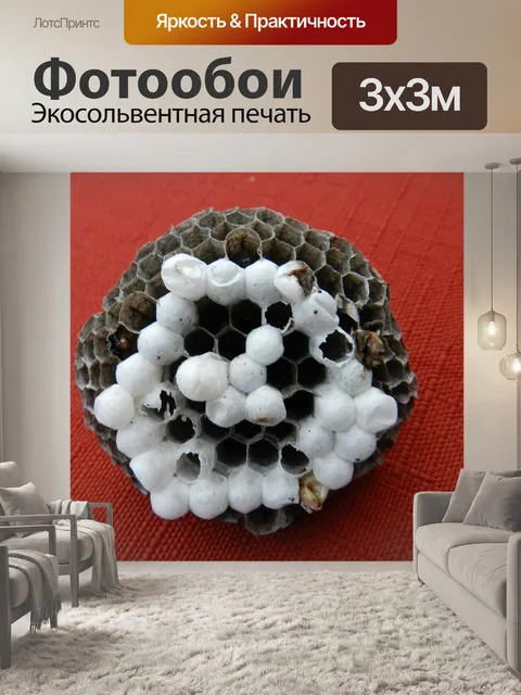 Фотообои Wasp гнездо