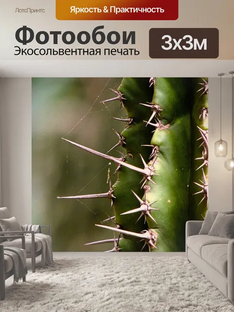 Фотообои Своб индексиров