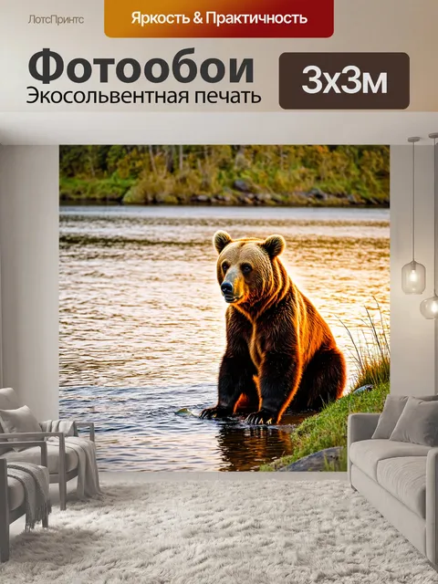 Фотообои коричневый медведь, сидящий на берегу реки, ловящий рыбу во время заката