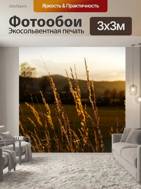 Фотообои Трава