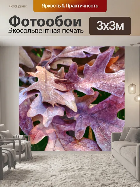 Фотообои Листья ледяного дуба