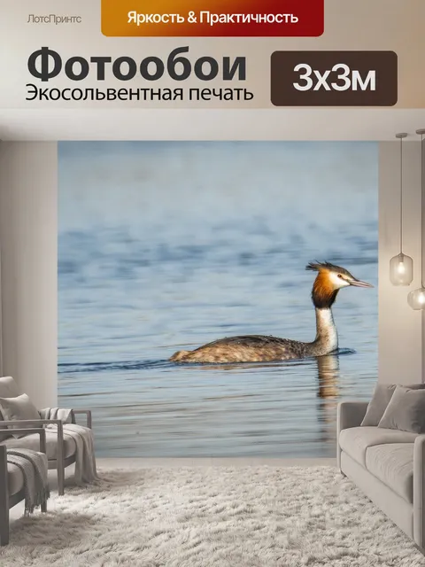 Фотообои Большая хохлатая поганка