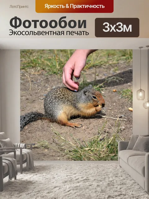 Фотообои Конкурс подключить
