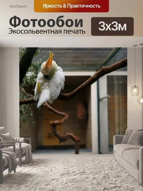 Фотообои Какаду