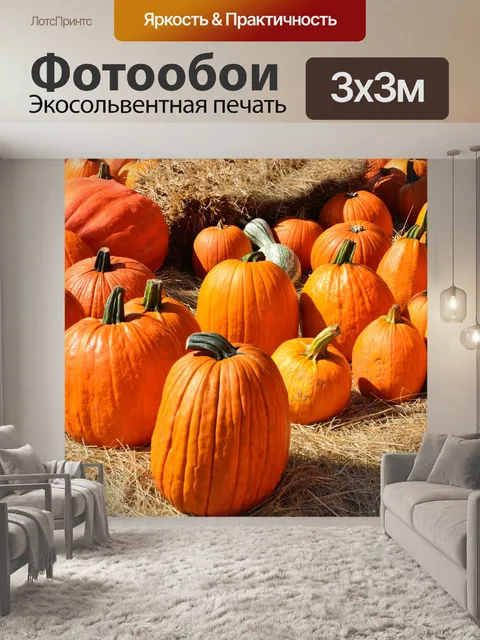 Фотообои Тыквы для продажи