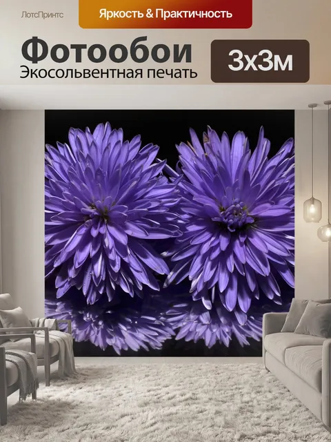 Фотообои Астер