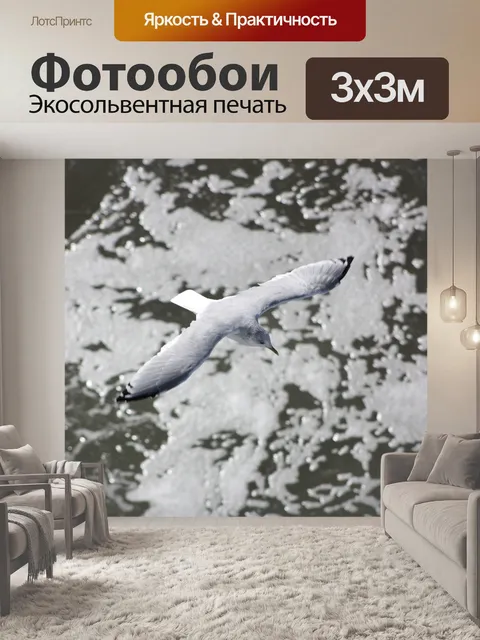 Фотообои Чайка