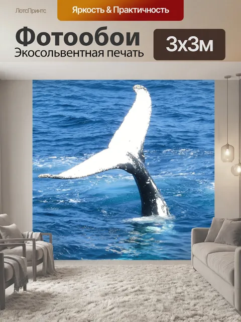 Фотообои Кит