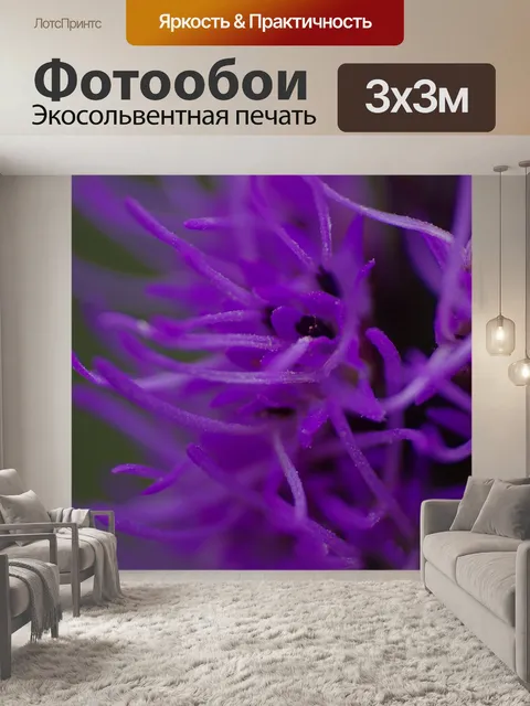 Фотообои Liatris