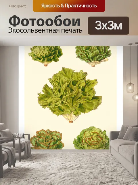 Фотообои Винтажный овощной салат