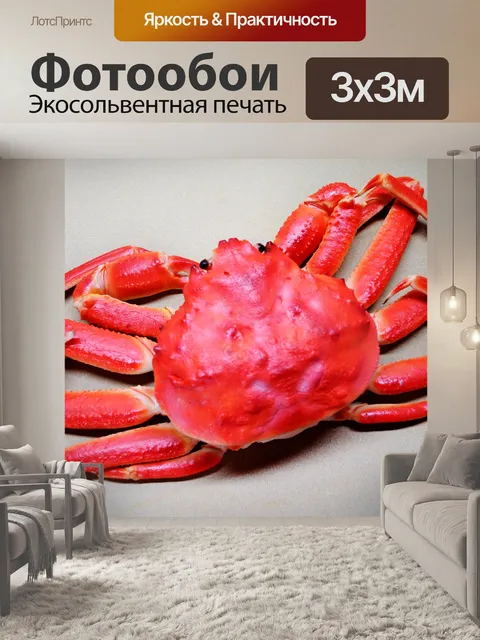 Фотообои Королева краба (снежный краб)