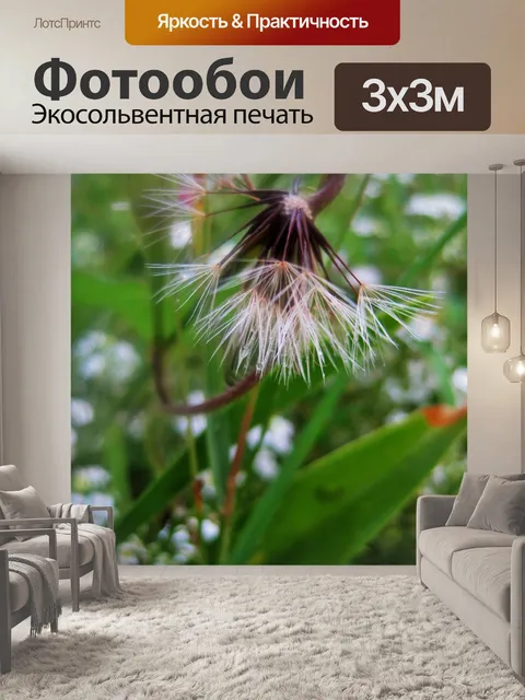 Фотообои белый пушистый одуванчик