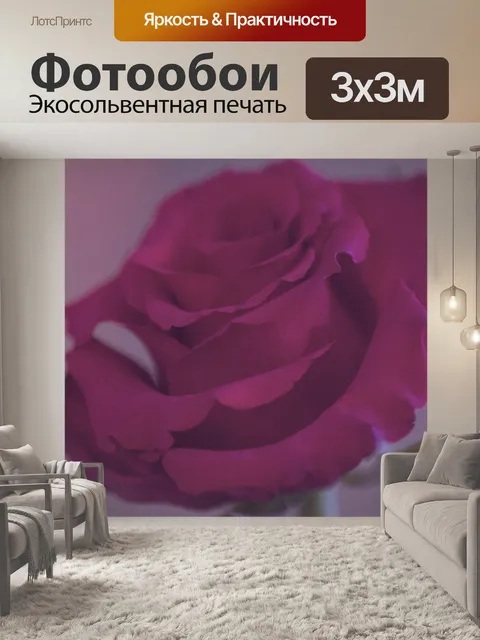 Фотообои Роза