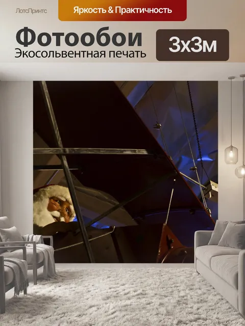 Фотообои Самолет пролетел Санта