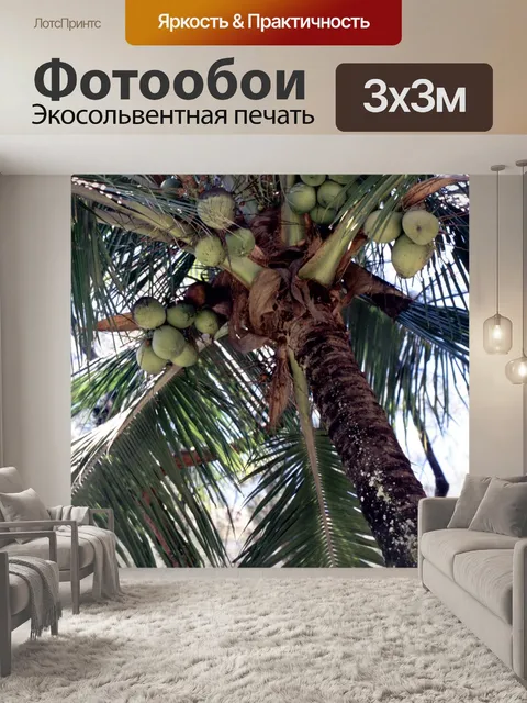 Фотообои Пальма