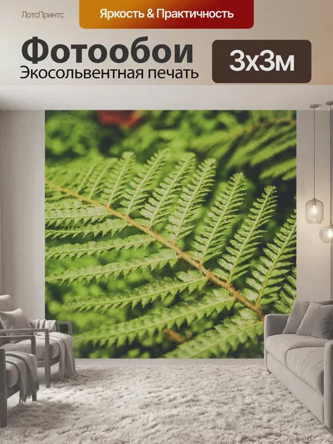 Фотообои листья папоротника зеленый фон