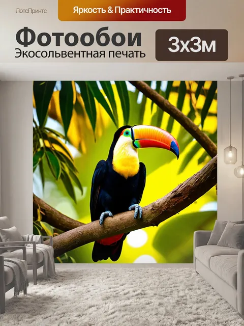 Фотообои тукан сидит на ветке в утреннем свете