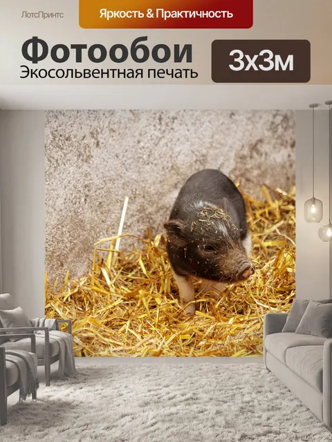 Фотообои Поросенок