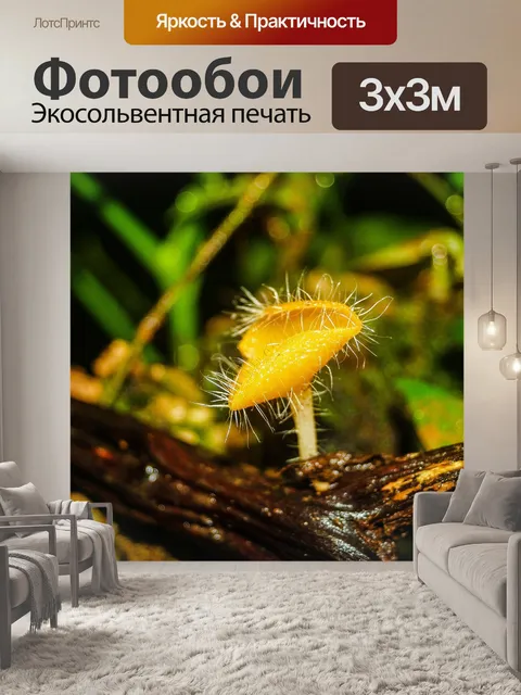 Фотообои грибы, растущие на фоне леса
