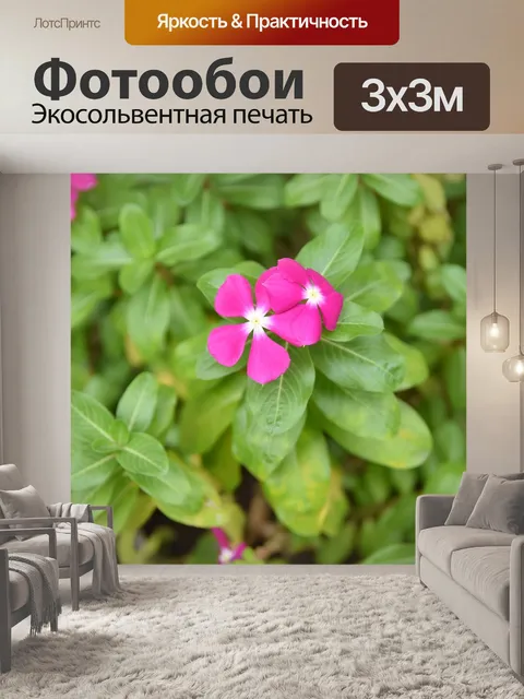 Фотообои Природа