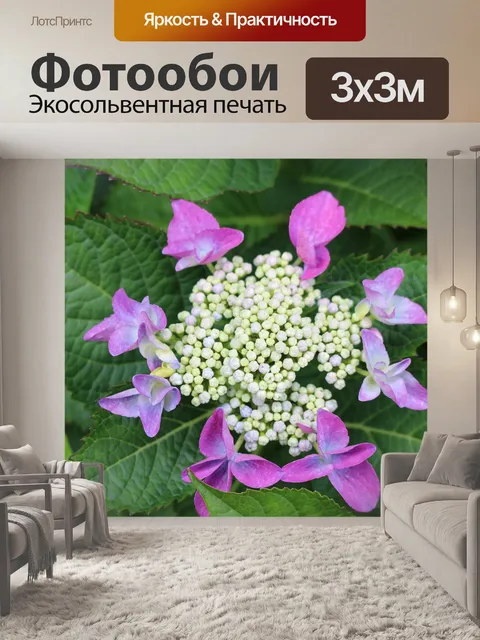 Фотообои Тарелка гортензия