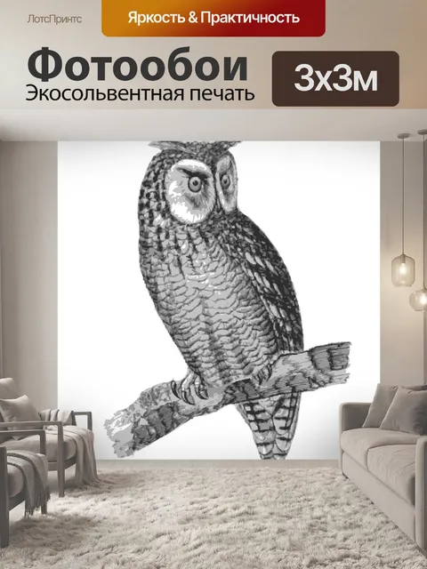 Фотообои Птица