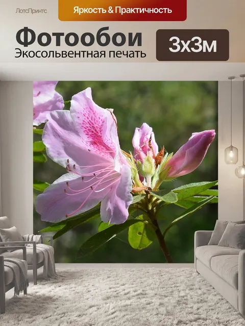Фотообои Светло-розовый азалия