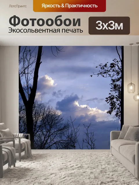 Фотообои Утреннее небо с деревьями