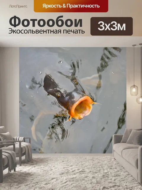 Фотообои Рыбы