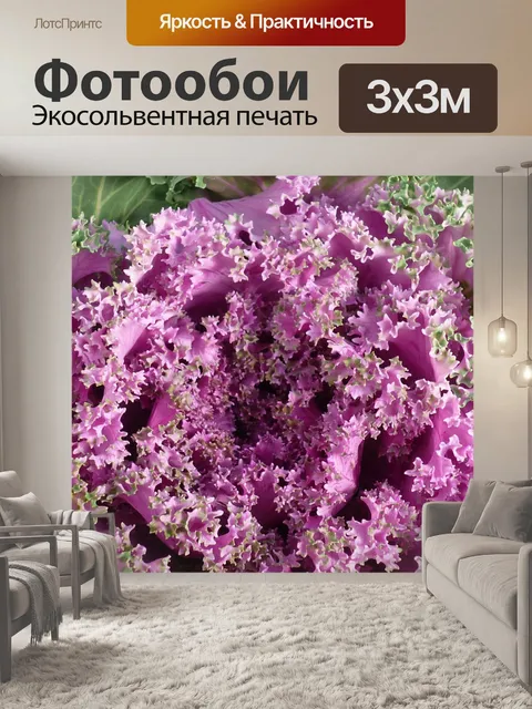 Фотообои Декоративные овощи