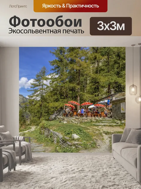 Фотообои Летний лесной путь
